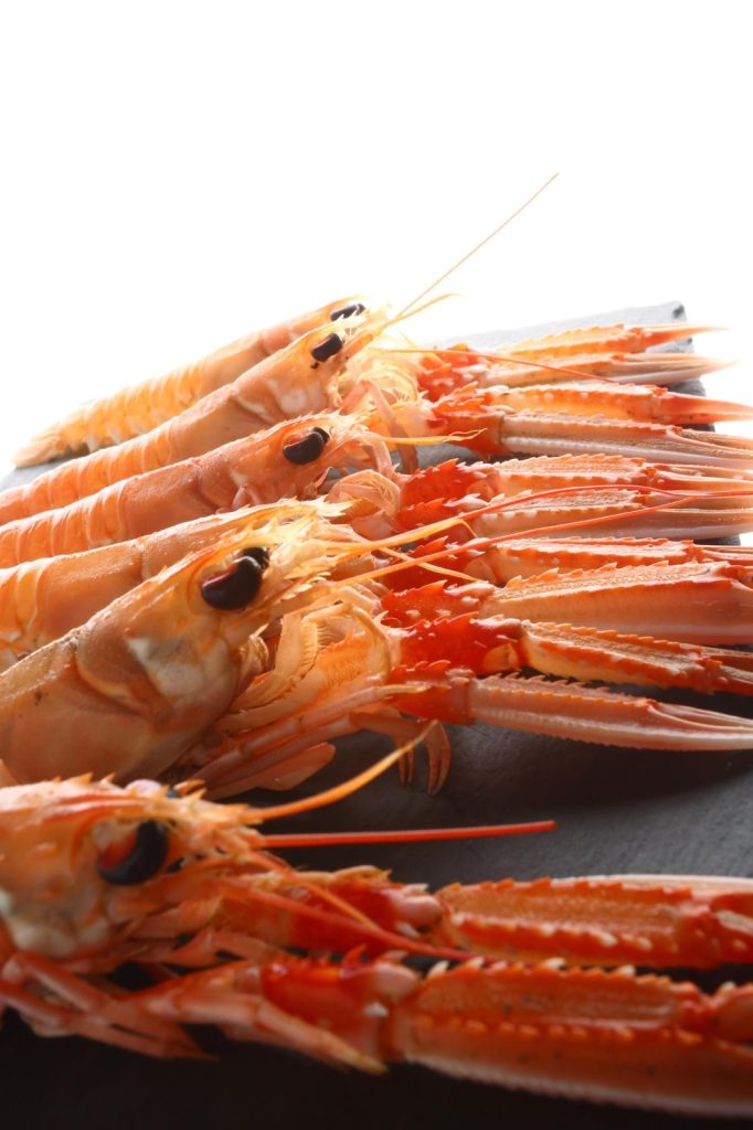 Langoustine / Norway lobster