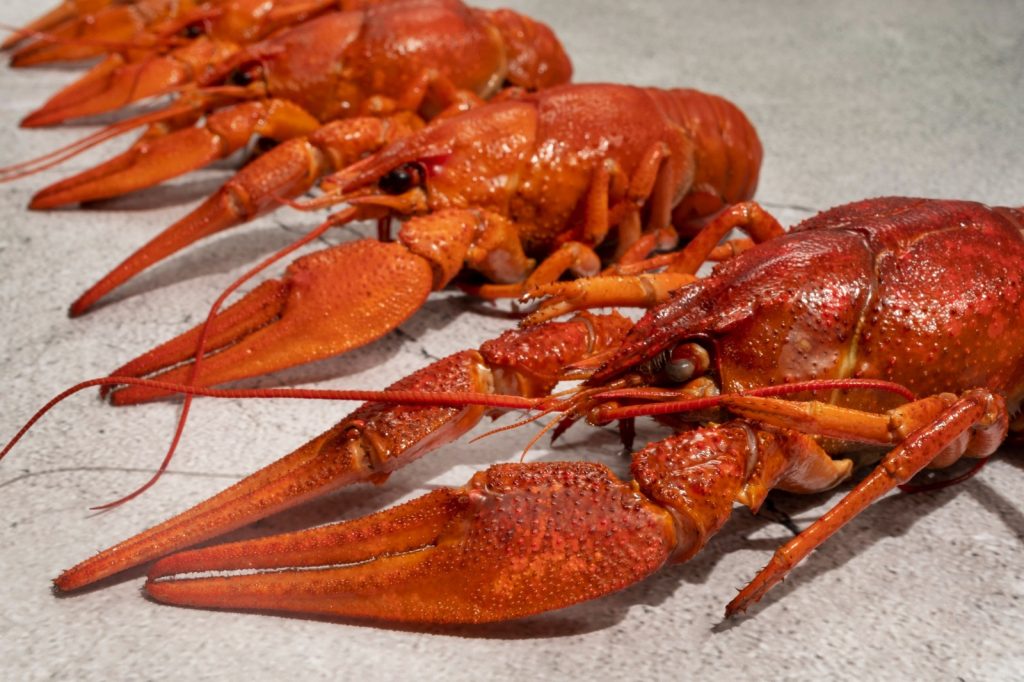 Cooked crayfish / crawfish