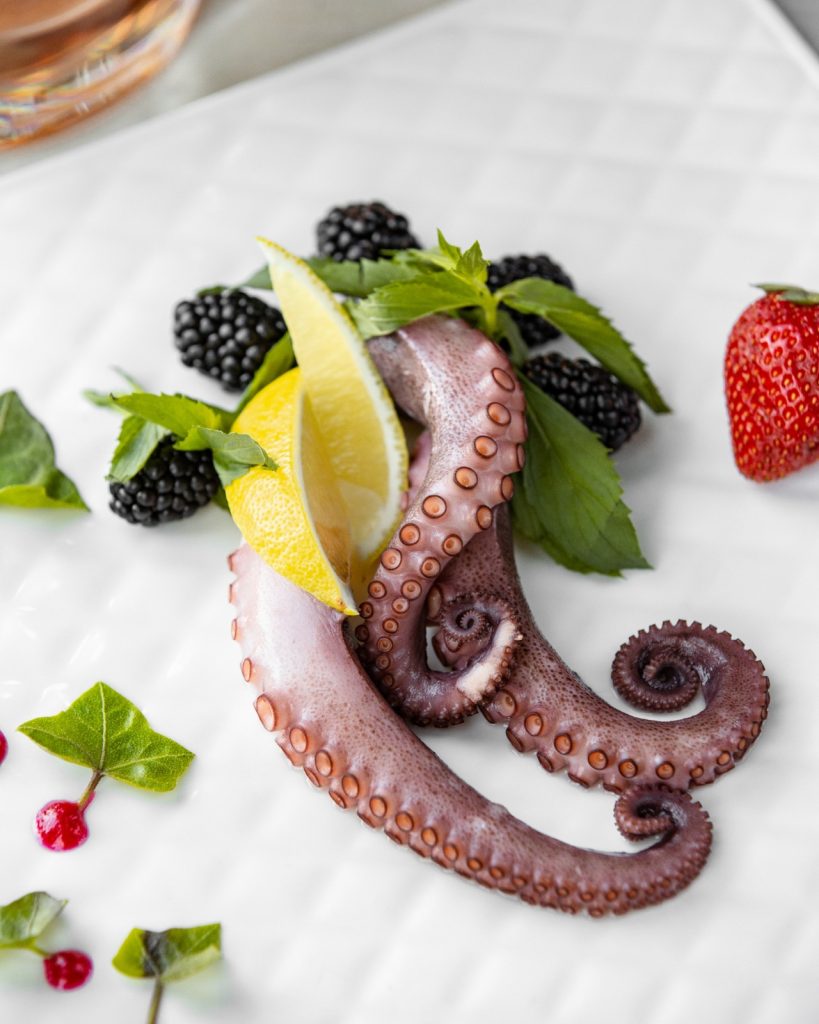 Octopus tentacles