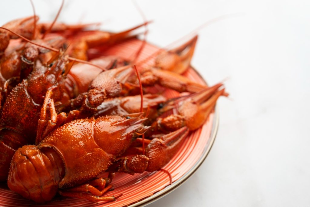 Crayfish / Crawfish