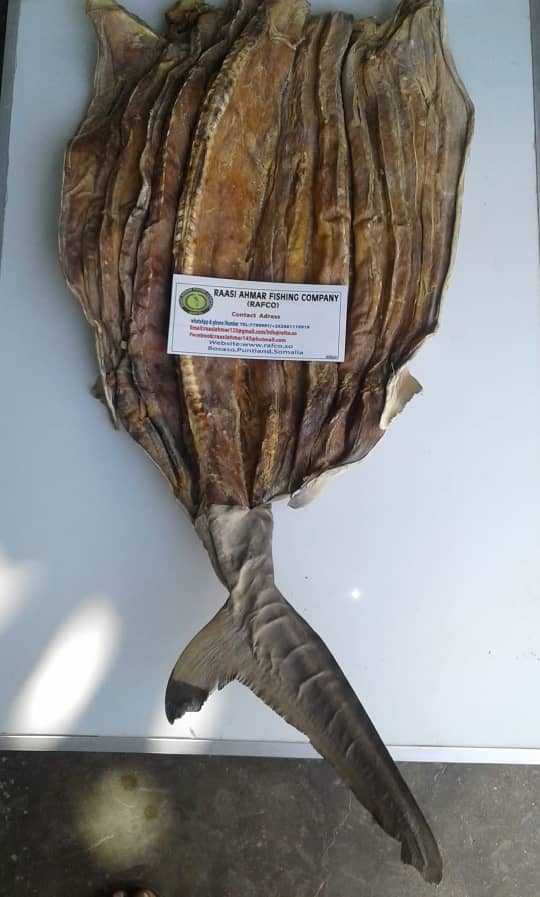 Dried Shark Meat