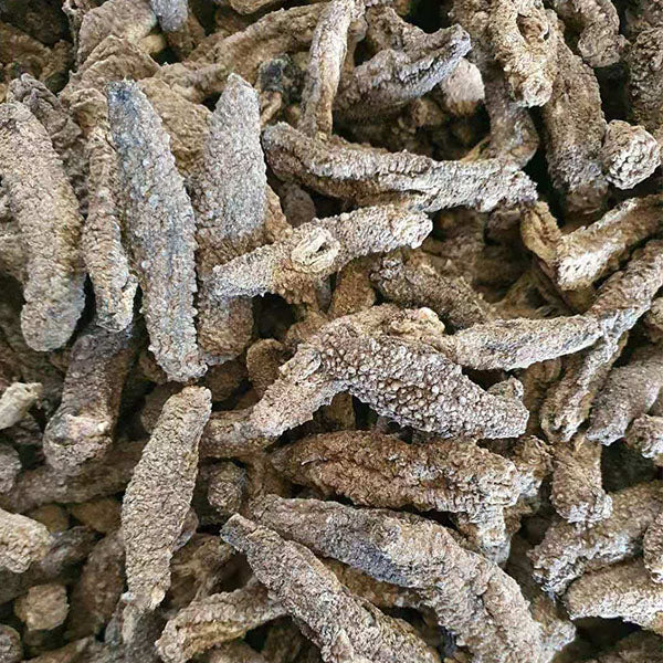 Dried Sea Cucumber